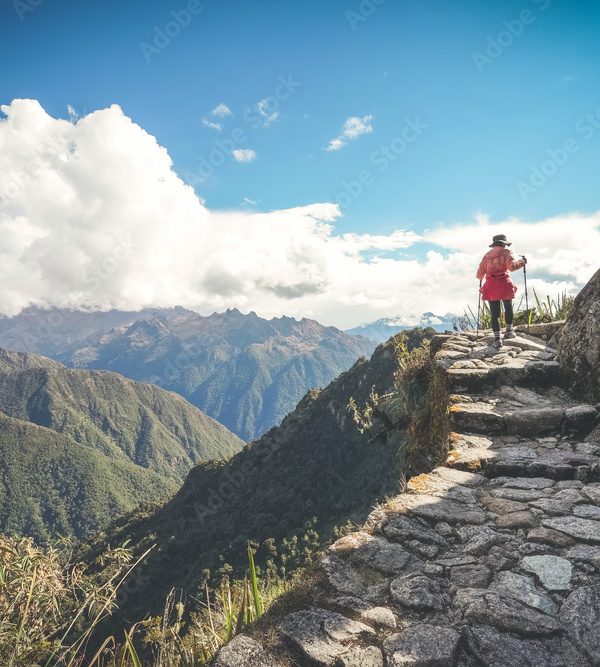 A female hiker is walking on the famous Inca trail of Peru with walking sticks. She is on the way to Machu Picchu.