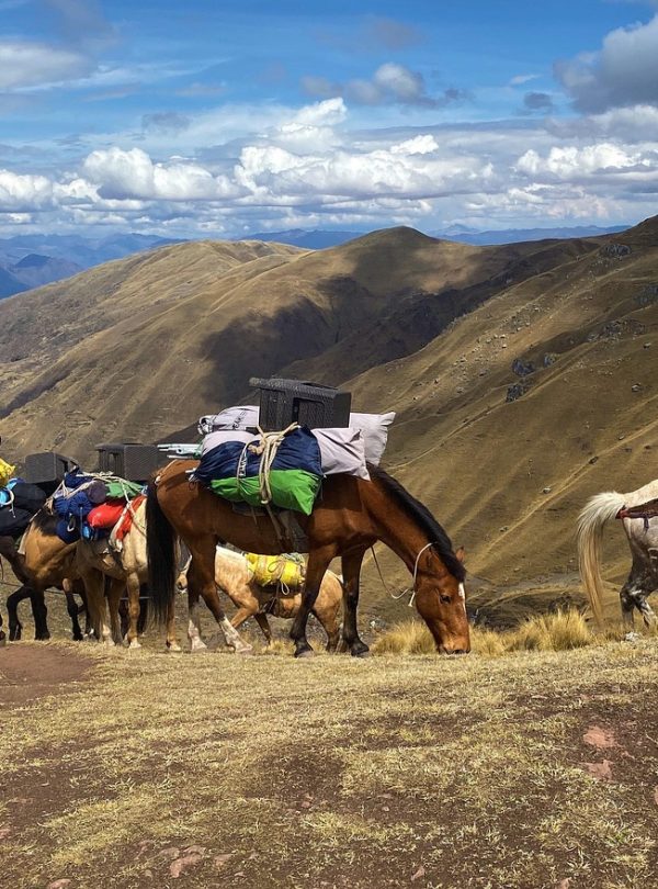 andes, peru, pony trekking, inca, peru, pony trekking, pony trekking, pony trekking, pony trekking, pony trekking