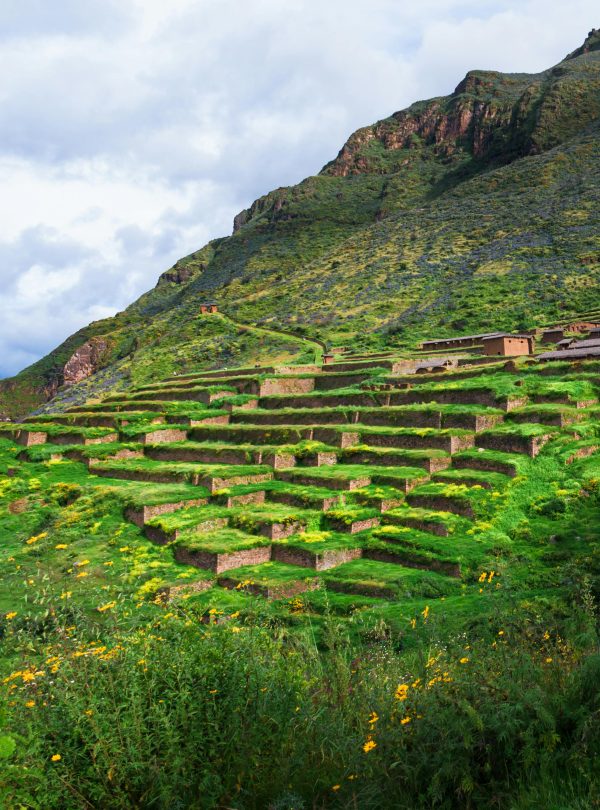 Cuzco s inca terraced farming landscape