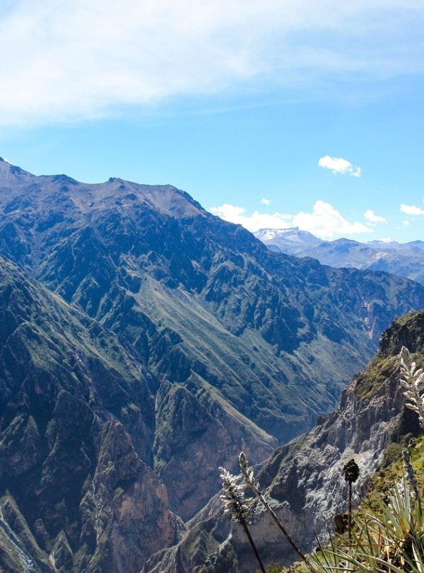 colca canyon, deep, abyss, canyon, panorama, peru, colca canyon, colca canyon, colca canyon, colca canyon, colca canyon