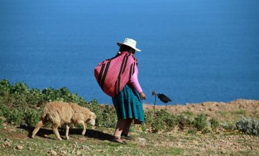lake, titicaca, peru, andes, island, uros, floating, nature, puno, woman, indigenous, blue island